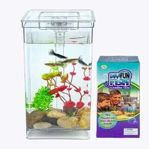 Small Fish Tank one Gallon Square, Easy Setup and Maintenance, with LED Lighting, Decor Stones and Plastic Tree Ornament, Perfect Starter Kit