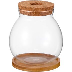 Beavorty Desktop Fish Bowl Clear Glass Small Betta Fish Tank with Wood Lid and Bamboo Stand Table Hydroponic Plants Terrarium for Home Office Decoration Gifts 13 * 14cm