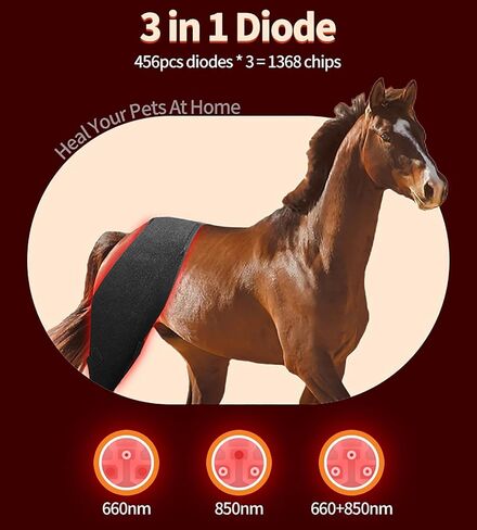 GOURIXIN Red Light Therapy for Horses, 660nm 850nm Red Infrared Therap Belt, for Horse Buttocks, Abdomen, Back, Front Legs and Hind Legs Muscle Recovery in Saudi Arabia
