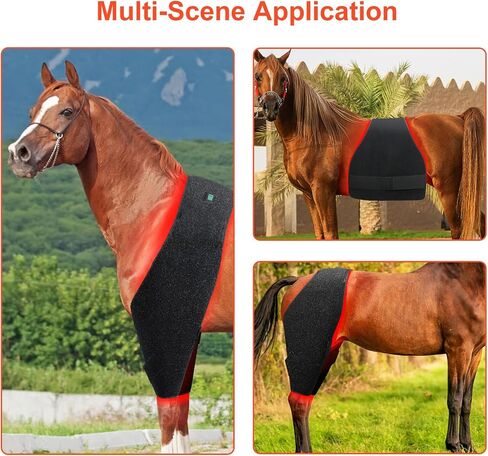 GOURIXIN Red Light Therapy for Horses, 660nm 850nm Red Infrared Therap Belt, for Horse Buttocks, Abdomen, Back, Front Legs and Hind Legs Muscle Recovery in Saudi Arabia