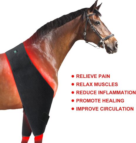 GOURIXIN Red Light Therapy for Horses, 660nm 850nm Red Infrared Therap Belt, for Horse Buttocks, Abdomen, Back, Front Legs and Hind Legs Muscle Recovery in Saudi Arabia