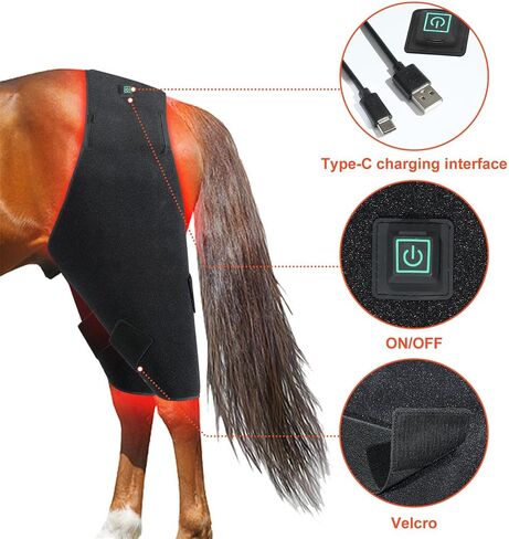 GOURIXIN Red Light Therapy for Horses, 660nm 850nm Red Infrared Therap Belt, for Horse Buttocks, Abdomen, Back, Front Legs and Hind Legs Muscle Recovery in Saudi Arabia