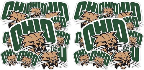 Desert Cactus Ohio University Sticker Bobcats Vinyl Decals Laptop Water Bottle Car Scrapbook 13.43x10.98 Sheet T3 (Type 3-1) in Saudi Arabia