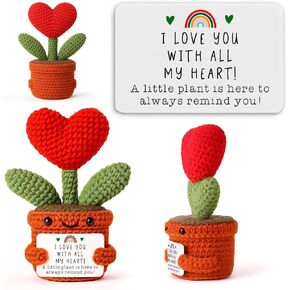Heart Potted Plants Emotional Crochet Encouragement Thank You Get Well Gift for Students, Professionals, Patients, Entrepreneurs, Teacher, Friend, Coworker for Thanksgiving, Birthday, Recovery Care in Kuwait