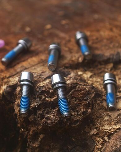 Bike Stem Bolts Color Allen Tapered Head Steel Bolt with Washer Screw M5x18mm for Mountain Bicycle,RoadBike,BMX,Folding (Black) in Saudi Arabia