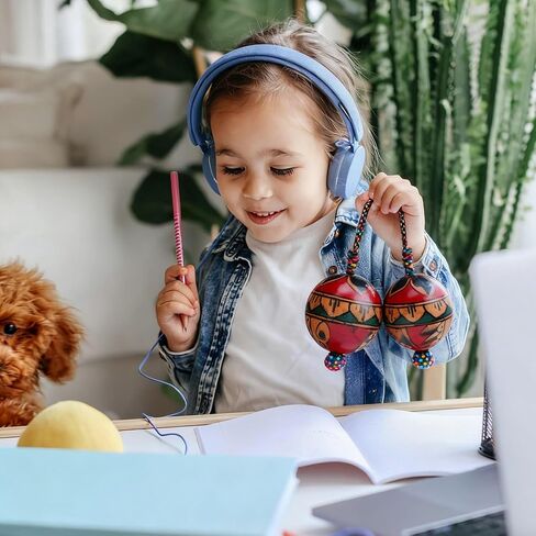 كرة هزازة إيقاعية أفريقية تقليدية من Aslatuas مرسومة يدويًا، أداة قرع كاشاكا مصنوعة يدويًا لمحبي الموسيقى، تصميم فني فريد من نوعه على طراز كاشاكا للبالغين والأطفال in Kuwait