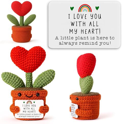 Heart Potted Plants Emotional Crochet Encouragement Thank You Get Well Gift for Students, Professionals, Patients, Entrepreneurs, Teacher, Friend, Coworker for Thanksgiving, Birthday, Recovery Care in Kuwait