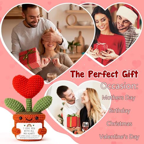 Heart Potted Plants Emotional Crochet Encouragement Thank You Get Well Gift for Students, Professionals, Patients, Entrepreneurs, Teacher, Friend, Coworker for Thanksgiving, Birthday, Recovery Care in Kuwait