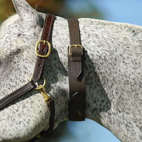 Schneiders French Style Cribbing Collar | European Leather | Covered Steel Plate Design | Adjustable Size | Brass Roller Buckle | Ideal for Preventing Wind Sucking in Saudi Arabia