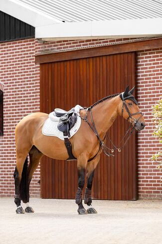 LeMieux Crystal Suede Close Contact Square - حواف لامعة ومضفرة - وسادة سرج الفروسية in Saudi Arabia