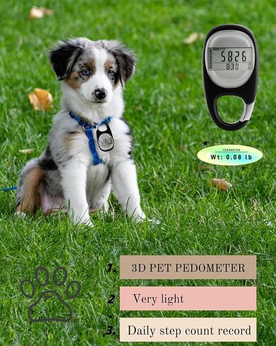 Simple Pedometer for Walking, Accurate Step Tracker with Carabiner, 3D Step Counter for Men Women Seniors in Saudi Arabia