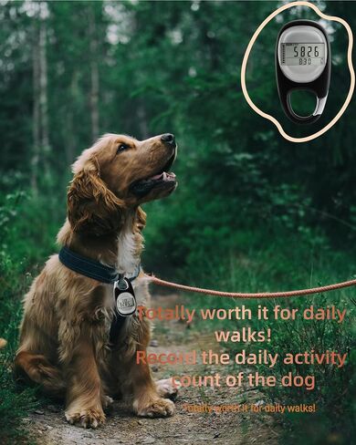 Simple Pedometer for Walking, Accurate Step Tracker with Carabiner, 3D Step Counter for Men Women Seniors in Saudi Arabia