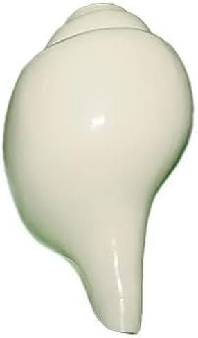 Shankh (Small Size) for Puja | Premium White Shell with Loud Echo Sound | Blowing Natural Shell Brings Positive Energy at Home 4 inch White in Saudi Arabia