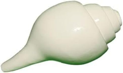 Shankh (Small Size) for Puja | Premium White Shell with Loud Echo Sound | Blowing Natural Shell Brings Positive Energy at Home 4 inch White in Saudi Arabia