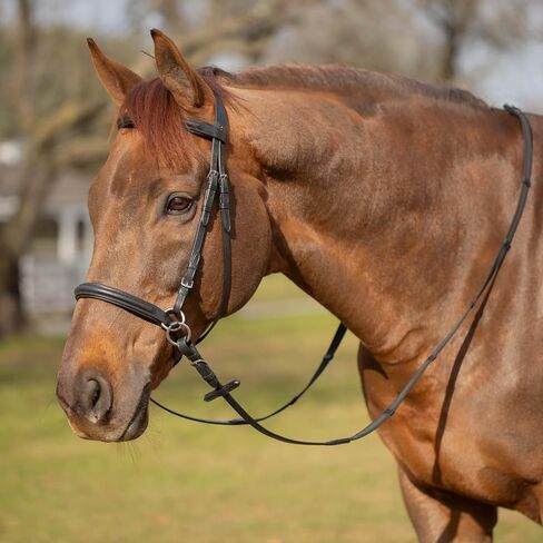 Equinavia Saga Cross-Under English Bitless Bridle for Horses | Reins Included in Saudi Arabia