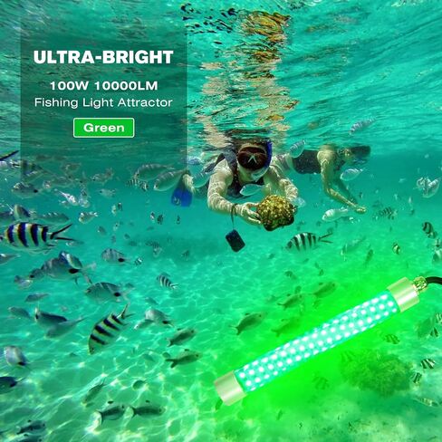 F3 110V & 12V Light Green Fishing Light 200W 20000lm ، أسماك قابلة للضايق تحت الماء تجذب الضوء لسلور Crappie Snook Bass Squid في الليل ، 5 ٪ ~ 100 ٪ باهت سطوع (حبل 33 قدم) in Kuwait