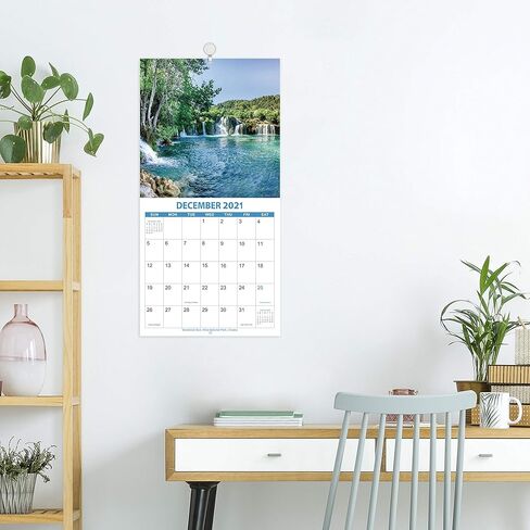 تقويم حائط 2021-2022 - 2021-2022 تقويم حائط مربع شهري بورق سميك، يوليو 2021 - ديسمبر 2022، 12 بوصة × 24 بوصة (مفتوح)، كتل غير مسطرة - حدائق موسمية in Kuwait