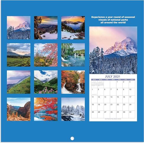 تقويم حائط 2021-2022 - 2021-2022 تقويم حائط مربع شهري بورق سميك، يوليو 2021 - ديسمبر 2022، 12 بوصة × 24 بوصة (مفتوح)، كتل غير مسطرة - حدائق موسمية in Kuwait