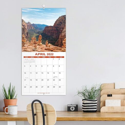 تقويم حائط 2021-2022 - 2021-2022 تقويم حائط مربع شهري بورق سميك، يوليو 2021 - ديسمبر 2022، 12 بوصة × 24 بوصة (مفتوح)، كتل غير مسطرة - حدائق موسمية in Kuwait