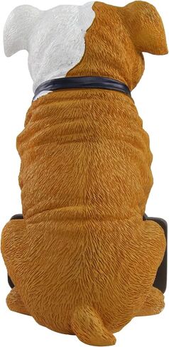 FOCO NCAA Unisex-Adult 11" Dog Welcome in Saudi Arabia