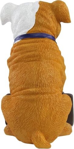 FOCO NCAA Unisex-Adult 11" Dog Welcome in Saudi Arabia