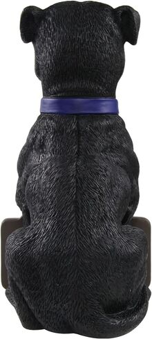 FOCO NCAA Unisex-Adult 11" Dog Welcome in Saudi Arabia
