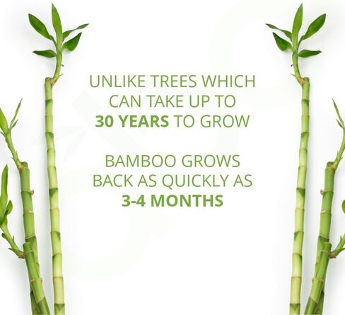 مناديل مبللة للأطفال خالية من شجرة كابو، مناديل مبللة للأطفال مشتقة طبيعيًا للبشرة الحساسة، 6 عبوات سفر قابلة للإغلاق، 30 منديلًا في كل عبوة، إجمالي 180 منديلًا in Kuwait