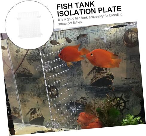 MARMERDO حوض للأسماك مجلس خزان الأسماك مقسم 20 جالون 10 جالون خزان الأسماك حوض السمك مقسم واضح بيتا خزان الأسماك ديكور حوض السمك فواصل خزان صافي الاكريليك المحمولة in Kuwait
