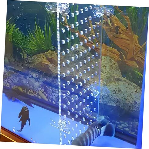 MARMERDO حوض للأسماك مجلس خزان الأسماك مقسم 20 جالون 10 جالون خزان الأسماك حوض السمك مقسم واضح بيتا خزان الأسماك ديكور حوض السمك فواصل خزان صافي الاكريليك المحمولة in Kuwait