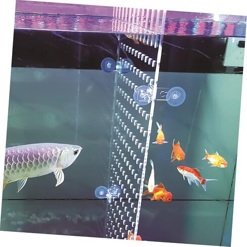 MARMERDO حوض للأسماك مجلس خزان الأسماك مقسم 20 جالون 10 جالون خزان الأسماك حوض السمك مقسم واضح بيتا خزان الأسماك ديكور حوض السمك فواصل خزان صافي الاكريليك المحمولة in Kuwait