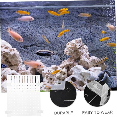 MARMERDO حوض للأسماك مجلس خزان الأسماك مقسم 20 جالون 10 جالون خزان الأسماك حوض السمك مقسم واضح بيتا خزان الأسماك ديكور حوض السمك فواصل خزان صافي الاكريليك المحمولة in Kuwait