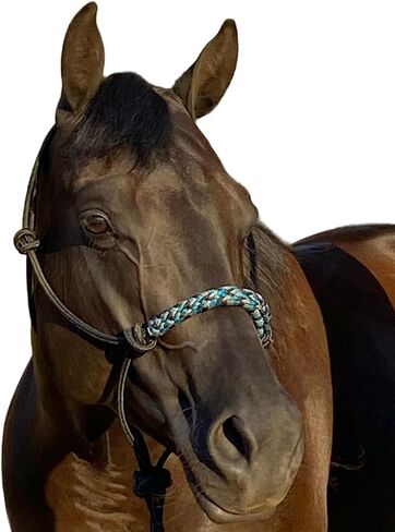 Kensington Clinician Rope Halter - Horse Halter with Tri-Colored Braided Noseband and Snug Fit in Kuwait