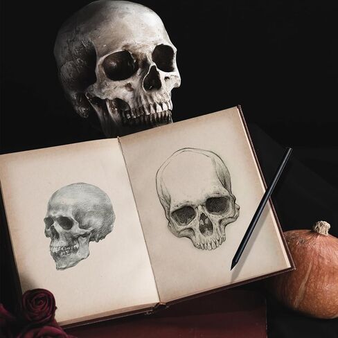 2Pack Human Skulls Head Model,Resin Skulls Decor for Home,Life Size Plastic Skeleton Head, Halloween Statue,Skull Figurine for Decorations Art in Kuwait