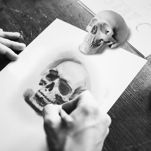 2Pack Human Skulls Head Model,Resin Skulls Decor for Home,Life Size Plastic Skeleton Head, Halloween Statue,Skull Figurine for Decorations Art in Kuwait