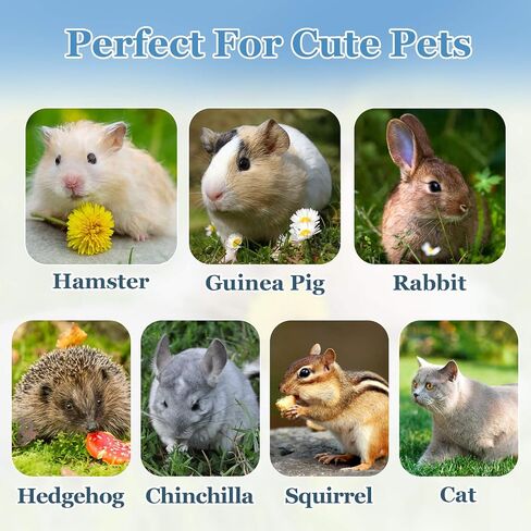 Sukh Hamster Desert Sand 15OZ - Fine Sand Bath for Reptile Hermit Crab Dwarf Hamster Chinchilla Gerbil Turtle as Zoo Med Repti Sand Substrate Hamster Bedding Cleaning Supplies Odor Control Hides Dig in Kuwait