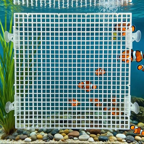 Plastic Aquarium Divider Panel and Fish Tank Lid - Egg Crate Grid for 10/20/55 Gallon Tanks, Adjustable Separator with Suction Cups, Customizable Breeder Cover and Bottom Grate (Black, 8 Pack) in Kuwait