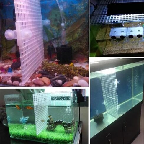 Plastic Aquarium Divider Panel and Fish Tank Lid - Egg Crate Grid for 10/20/55 Gallon Tanks, Adjustable Separator with Suction Cups, Customizable Breeder Cover and Bottom Grate (Black, 8 Pack) in Kuwait