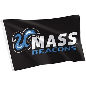 لافتة صبار الصحراء UMass Boston 100% بوليستر للاستخدام الداخلي والخارجي مقاس 3 × 5 أقدام (علم D) in Kuwait