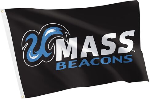 لافتة صبار الصحراء UMass Boston 100% بوليستر للاستخدام الداخلي والخارجي مقاس 3 × 5 أقدام (علم D) in Saudi Arabia