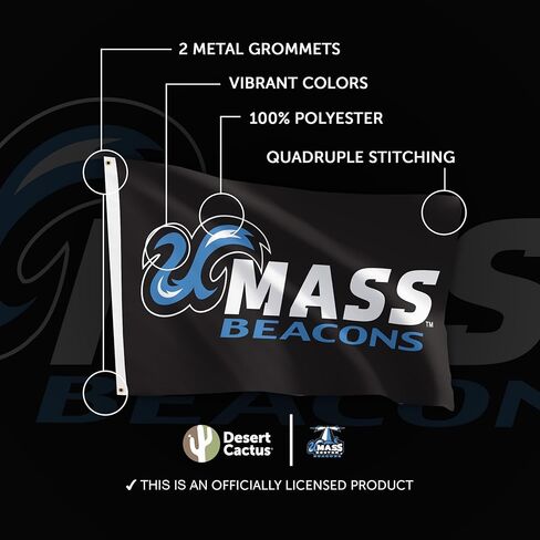 لافتة صبار الصحراء UMass Boston 100% بوليستر للاستخدام الداخلي والخارجي مقاس 3 × 5 أقدام (علم D) in Saudi Arabia