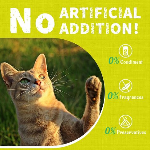 13.4 أوقية Lysine Cat يعامل نكهة السلمون الطبيعية بسكويتات القطط الصحيحة بسكويت الوجبات الخفيفة ليسين لرعاية الأسنان للقطط والقطط in Kuwait