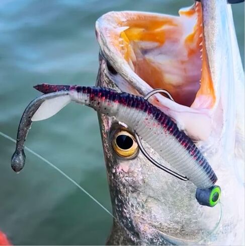 Southern Salt Hoodwink 4.75" Soft Plastic Fluke Lure – Weedless Design with Weighted Tail Ball – 5-Pack for Redfish, Trout, Flounder & Bass – Jig Head Ready in Saudi Arabia