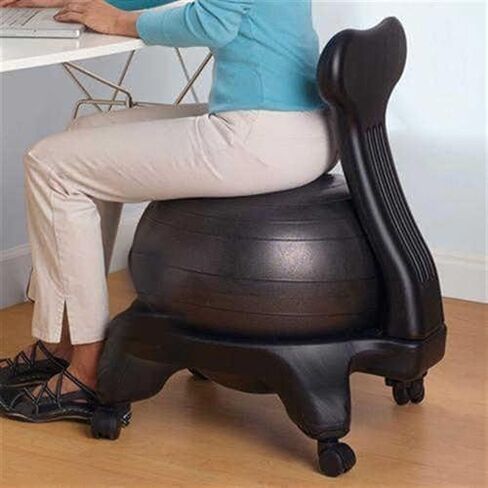 Ergonomic Stability Ball Desk Chair with Wheels & Back Support, 55cm Anti-Burst Exercise Ball for Adults, Students & Seniors, Supports 660 Lbs, Ideal for Home & Office Use in Saudi Arabia