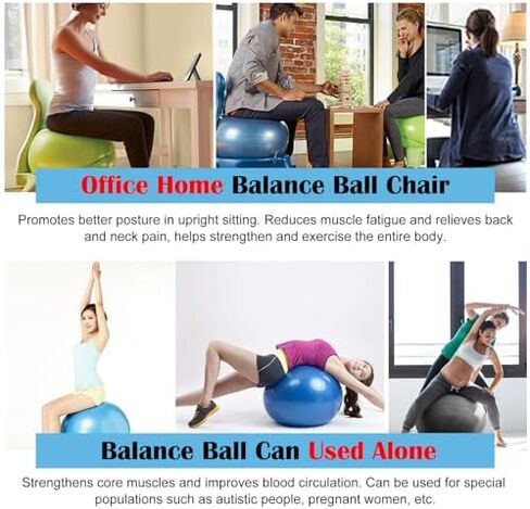 Ergonomic Physio Ball Chair with Wheels - Movable 55cm Anti-Burst Exercise Ball Desk Chair for Home & Office, Back Support, Core Balance, Ideal for Adults & Pregnant Women - Gray in Saudi Arabia