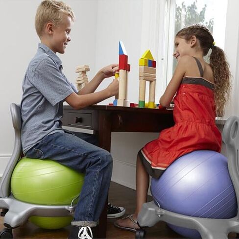 Ergonomic Physio Ball Chair with Wheels - Movable 55cm Anti-Burst Exercise Ball Desk Chair for Home & Office, Back Support, Core Balance, Ideal for Adults & Pregnant Women - Gray in Saudi Arabia