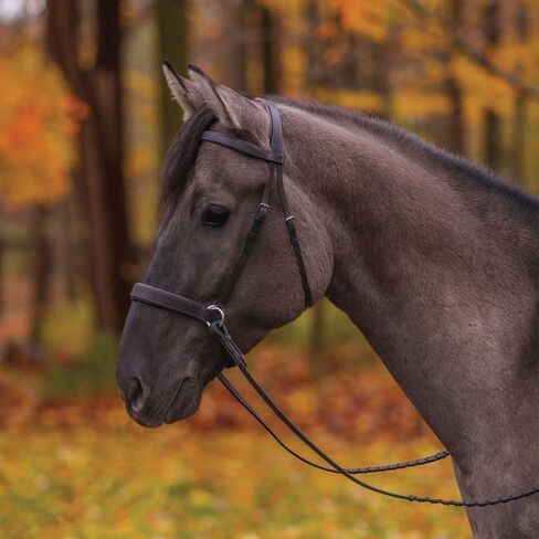 Schneiders Pinnacle Padded Bitless Bridle | Ideal for Sensitive Horses, Direct Rein & Nose Pressure, Premium European Leather, Stainless Steel Hardware | in Saudi Arabia