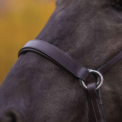 Schneiders Pinnacle Padded Bitless Bridle | Ideal for Sensitive Horses, Direct Rein & Nose Pressure, Premium European Leather, Stainless Steel Hardware | in Saudi Arabia