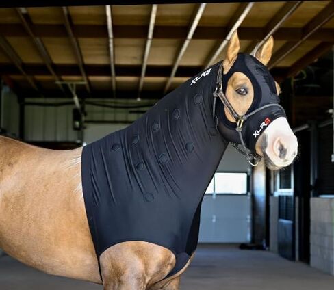 Generic XLR8 Equine Velocity Hood, Black in Saudi Arabia
