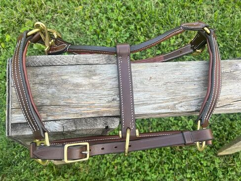 Leaders Padded Leather Halter for Horses with Customized Engraved Name Plate Option Halter for Horse in Saudi Arabia
