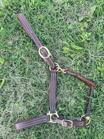 Leaders Padded Leather Halter for Horses with Customized Engraved Name Plate Option Halter for Horse in Saudi Arabia